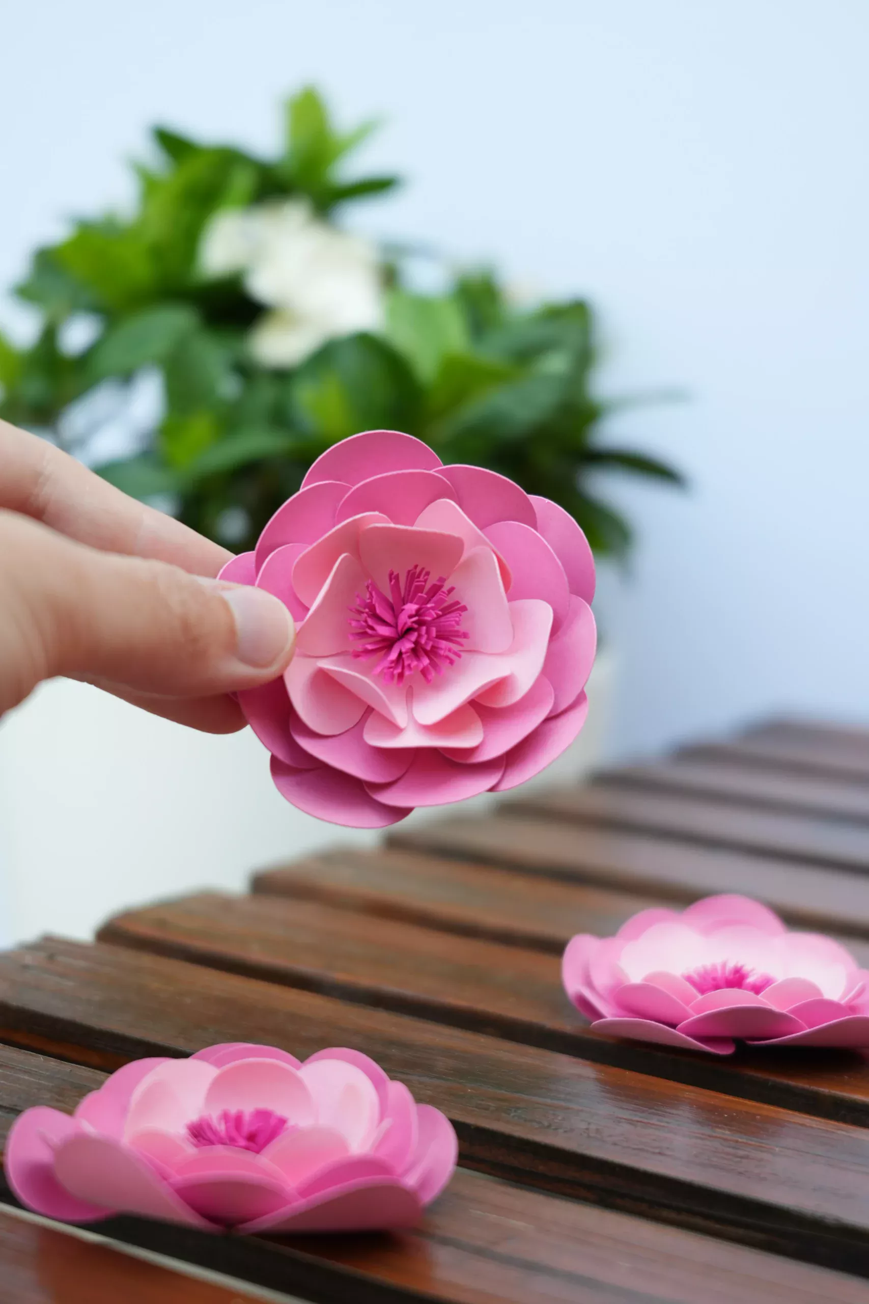 Fleurs broche